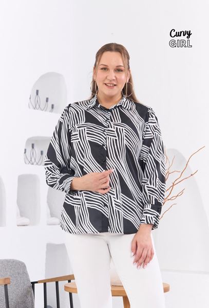 Immagine di CURVY GIRL ELEGANT FINE QUALITY BLOUSE